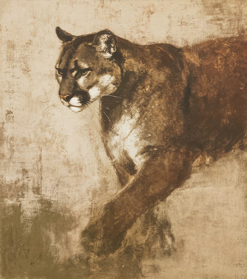 Rocky Mountain Whispers