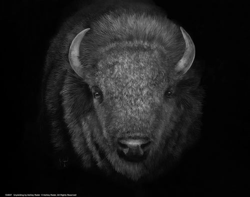 Unyielding Wall Art By Ashley Rader