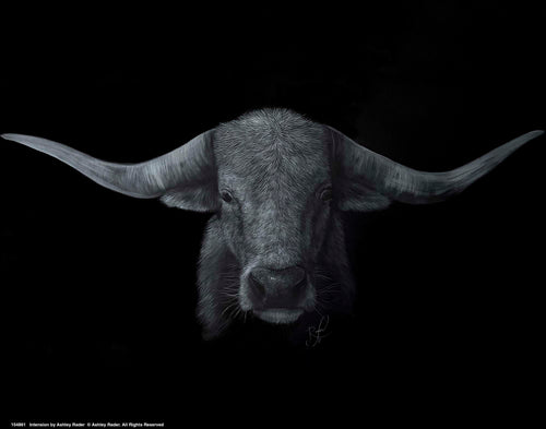 Intension Wall Art By Ashley Rader