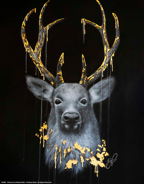 Halcyon Wall Art By Ashley Rader