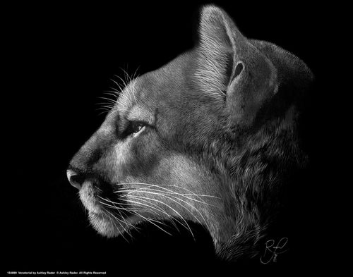 Venetorial Wall Art By Ashley Rader