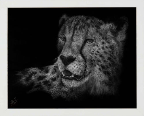 Cheetah Wall Art By Ashley Rader