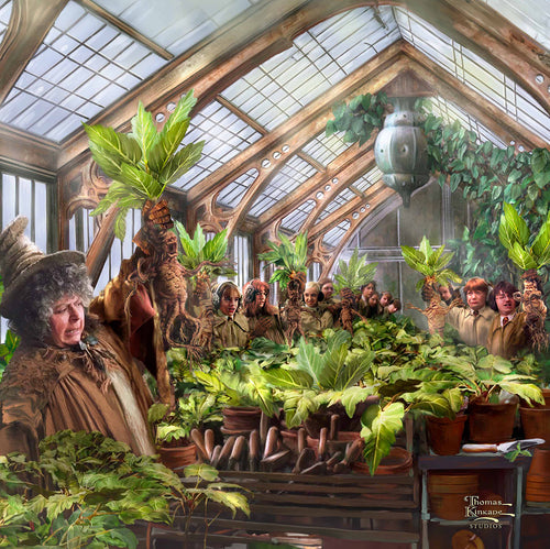 Harry Potter™ Hogwarts™ Greenhouse Wall Art by Thomas Kinkade Studios Canvas Gallery Wrap 14