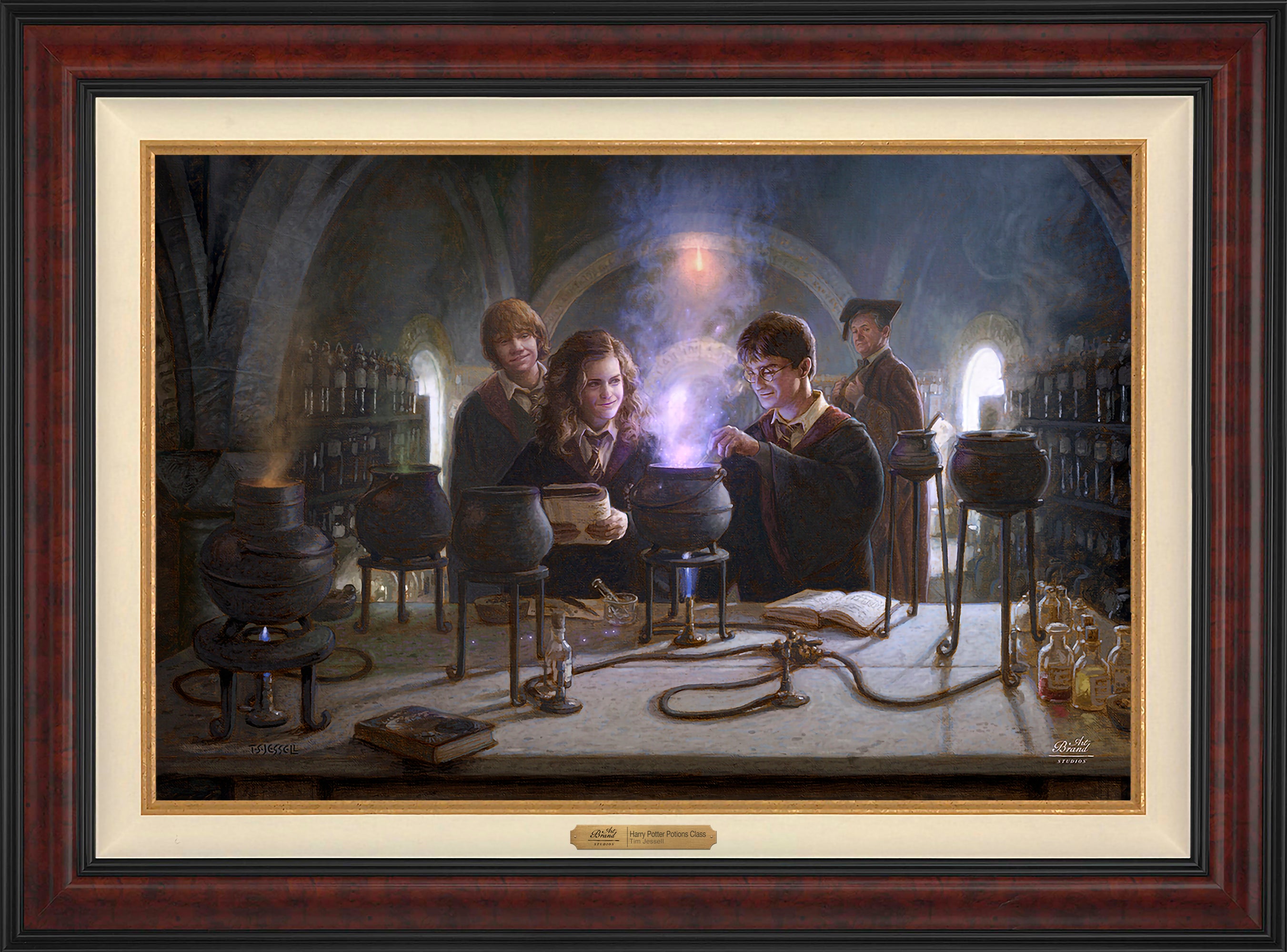 Harry Potter™ Potions Class Wall Art By Tim Jessell