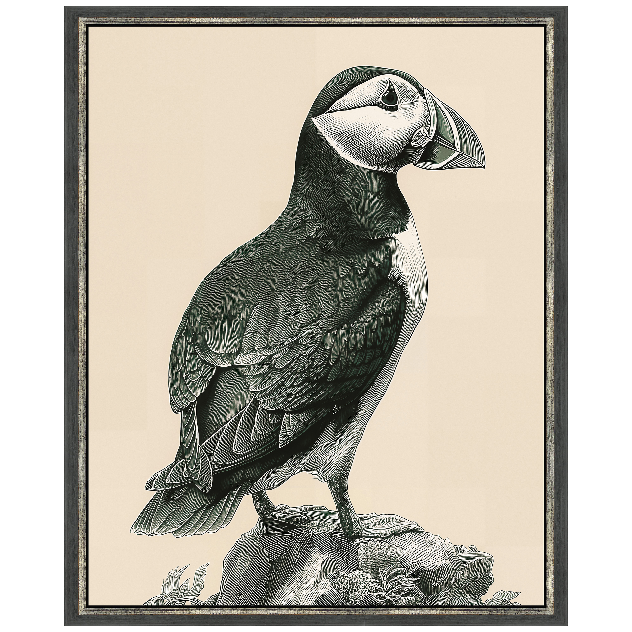 Martha Stewart Lily Pond | Coastal Bird Study: Puffin | Framed Coastal Cottage Wall Art