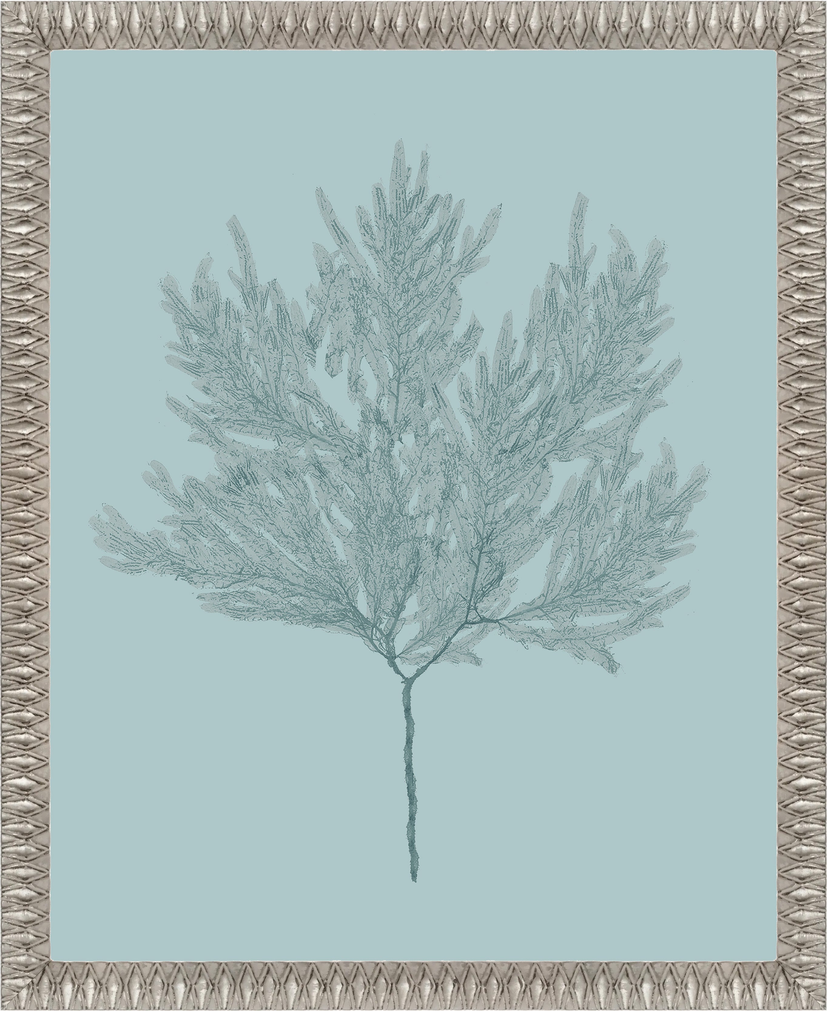 Martha Stewart Lily Pond | Coastal Botanical: Sea Glass II | Framed Coastal Cottage Wall Art