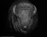 Unyielding Wall Art By Ashley Rader