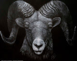 Dominance Wall Art By Ashley Rader
