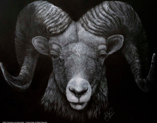 Dominance Wall Art By Ashley Rader