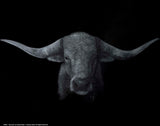 Intension Wall Art By Ashley Rader