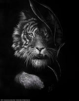 Unrestrained Wall Art By Ashley Rader
