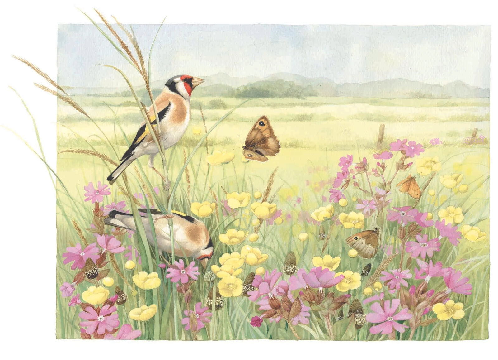 Meadow Gathering European Goldflinch in Meadow - Marjolein Bastin