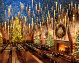 Harry Potter™ Great Hall Wall Art by Thomas Kinkade Studios Canvas Gallery Wrap 8" x 10" Unframed