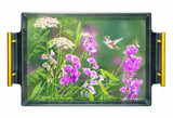 White Sweet Pea Humming Bird Acrylic Wall Art & Home Decor