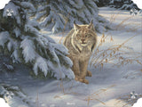 Watchful Eye - Lynx Acrylic Wall Art & Home Decor