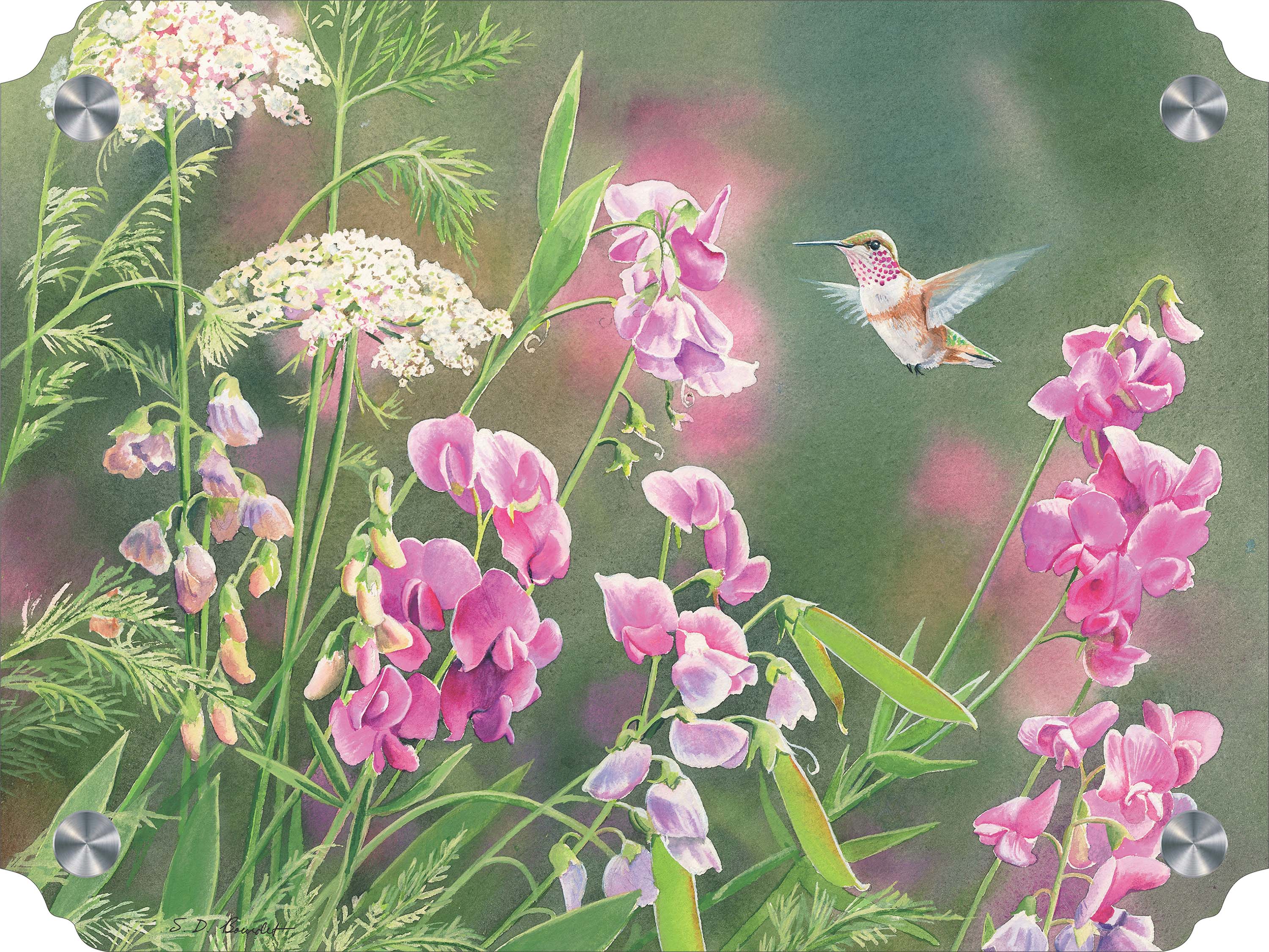 White Sweet Pea Humming Bird Acrylic Wall Art & Home Decor