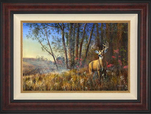 Misty Morning Wall Art by Jim Hansel