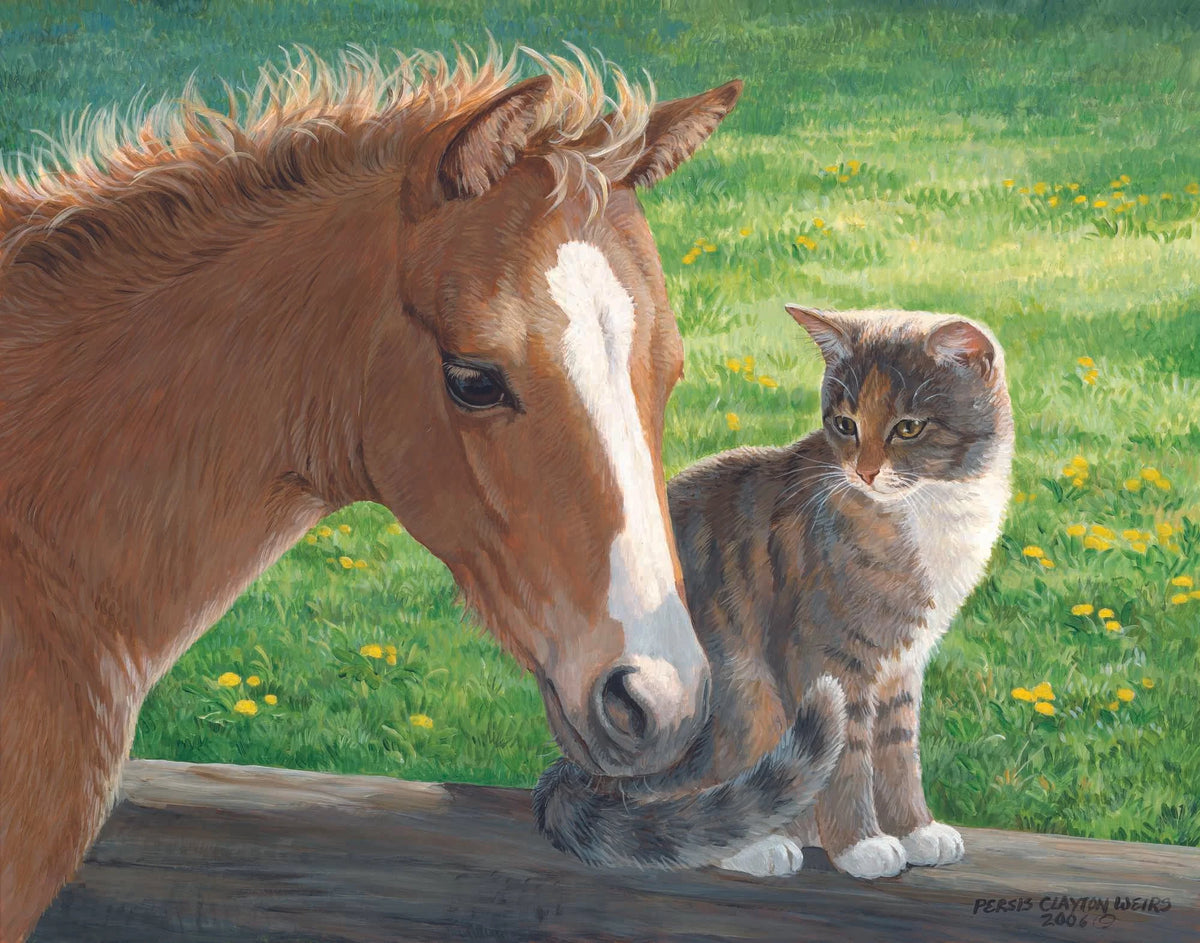 Persis Clayton Weirs