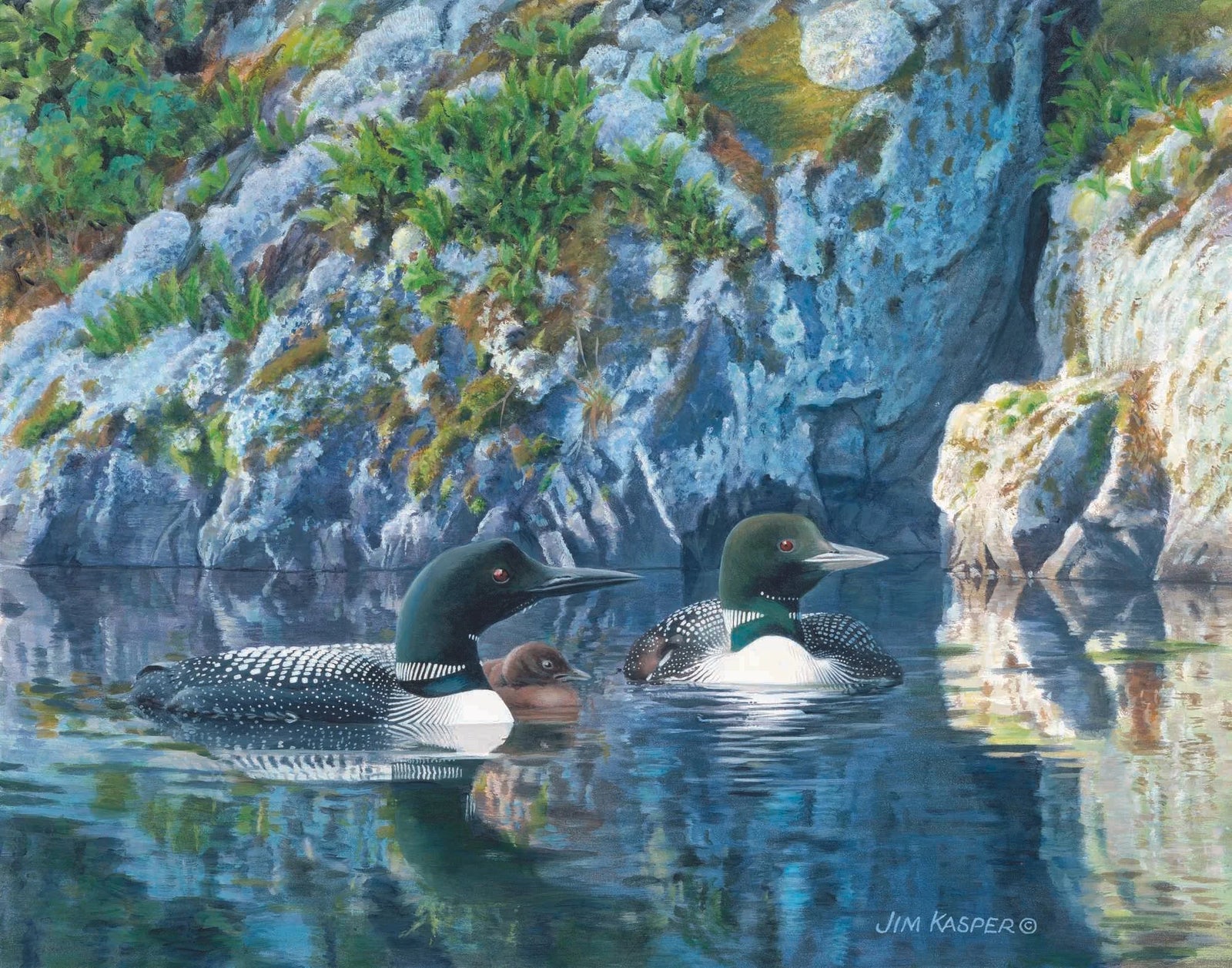 Against the Rocks II Loons - Jim Kasper