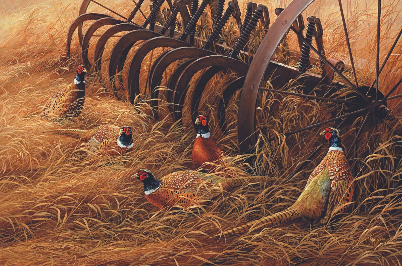 Autumn Encounter Pheasants - Rosemary Millette