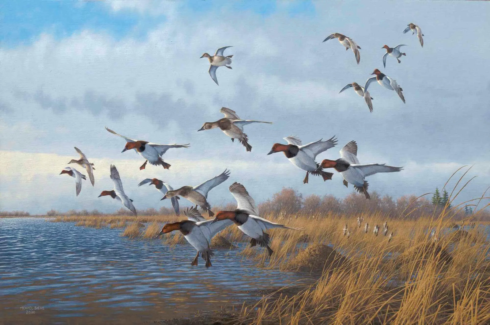 Back Bay - Michael Sieve