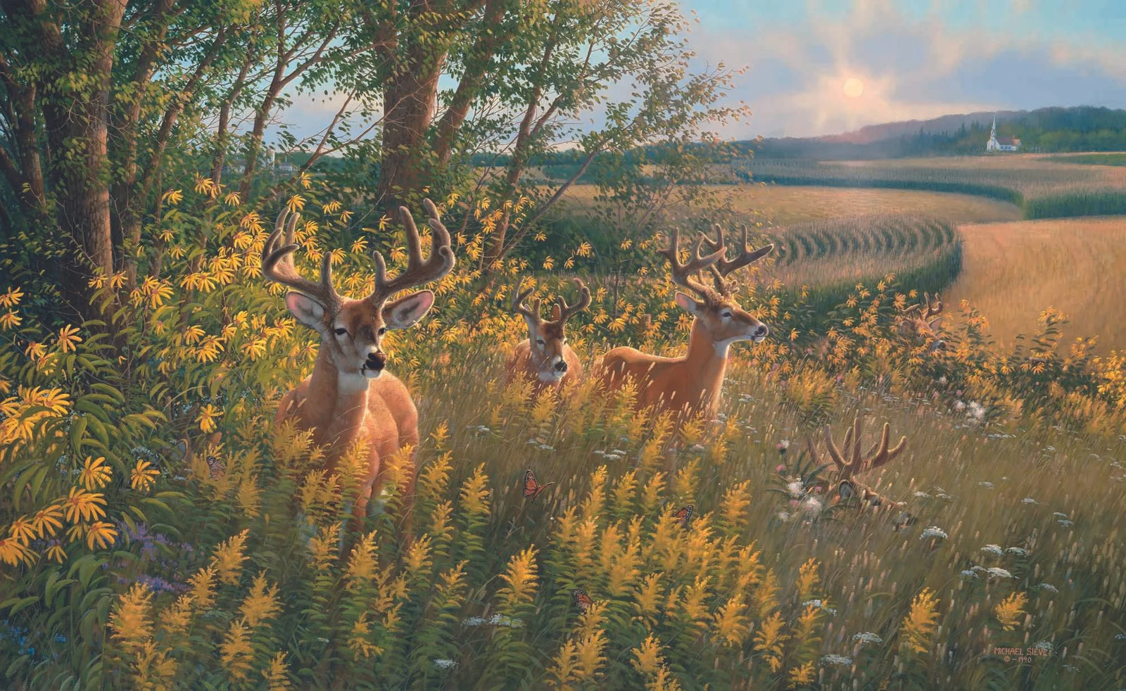 Boys of Summer Whitetail Deer - Michael Sieve