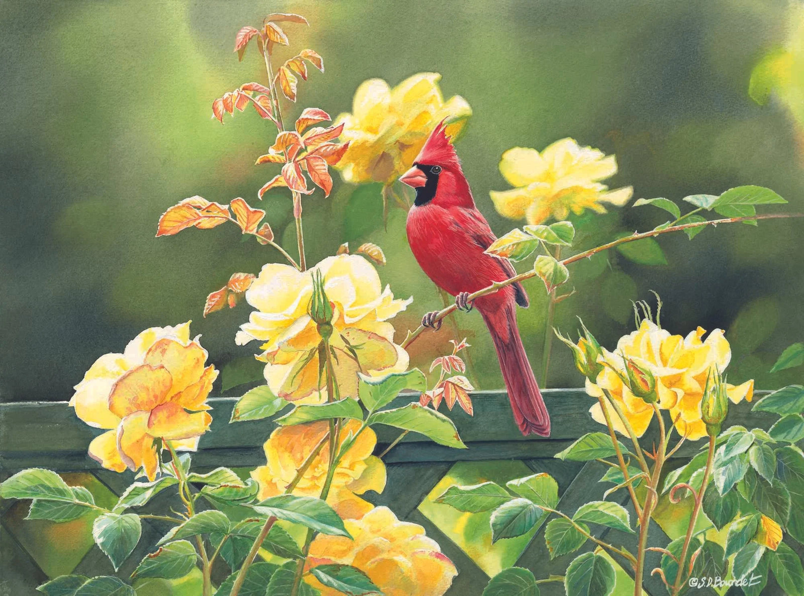 Cardinal and Yellow Roses - Susan Bourdet