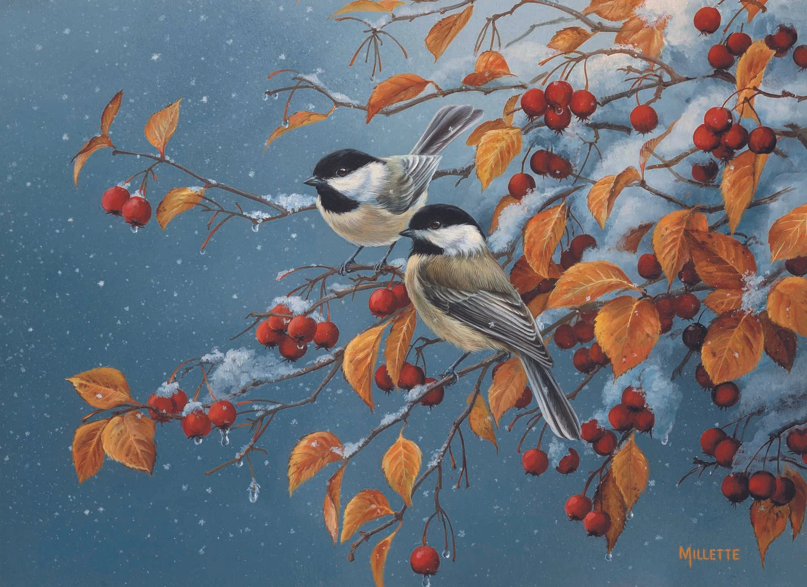 Chickadees - Rosemary Millette