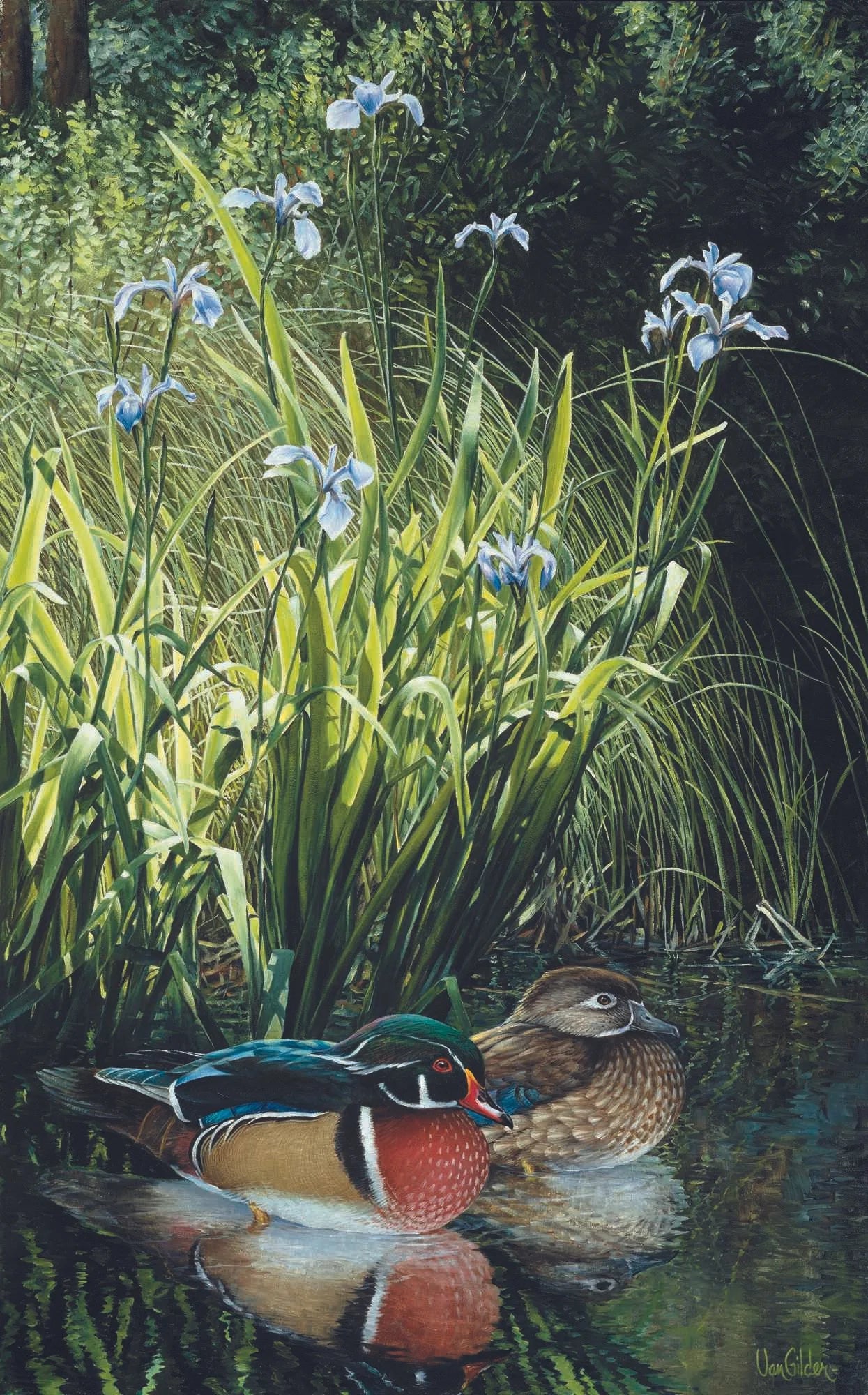 Elegant Company Wood Ducks - Ron Van Gilder