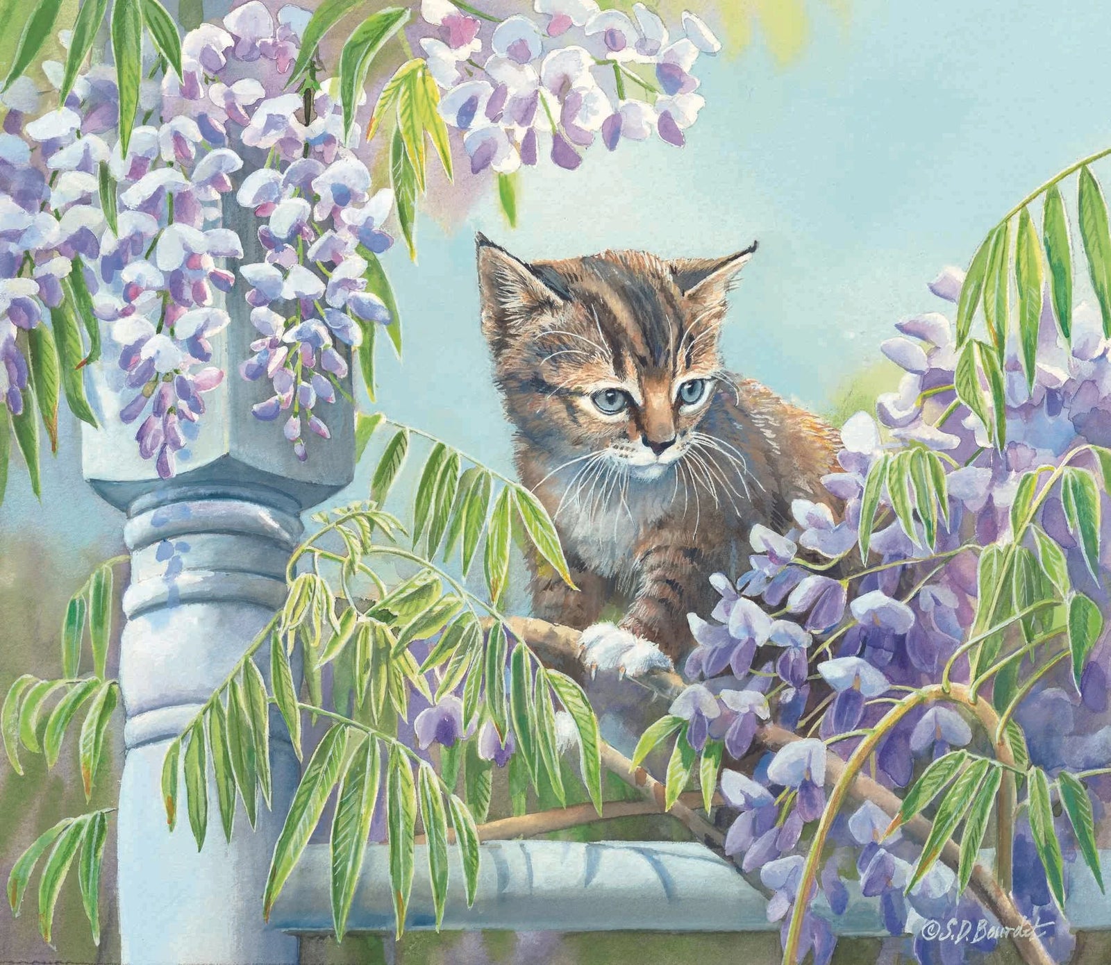 Jungle Cat - Susan Bourdet