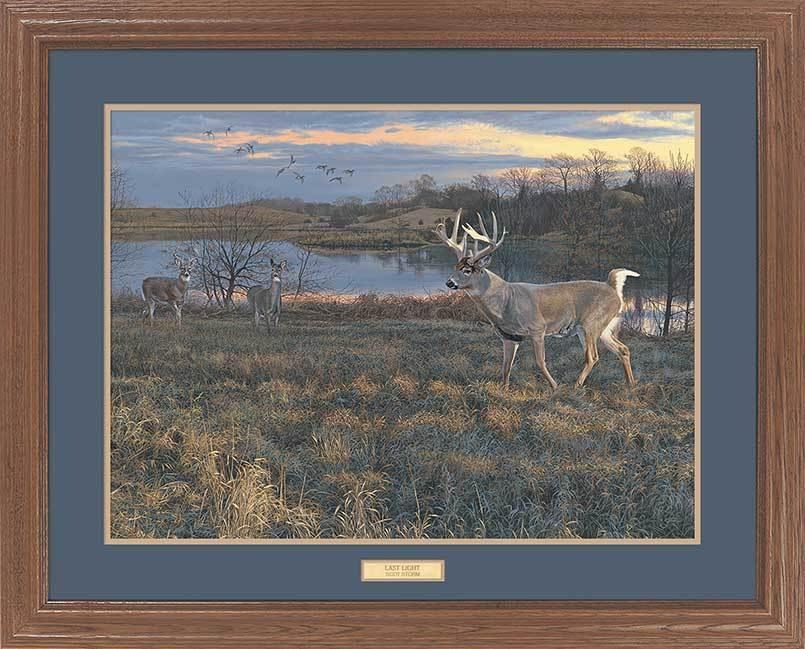 Wild Wings framed wildlife painting featuring ducks over a lake – Nature and outdoor art from Art Brand Studios