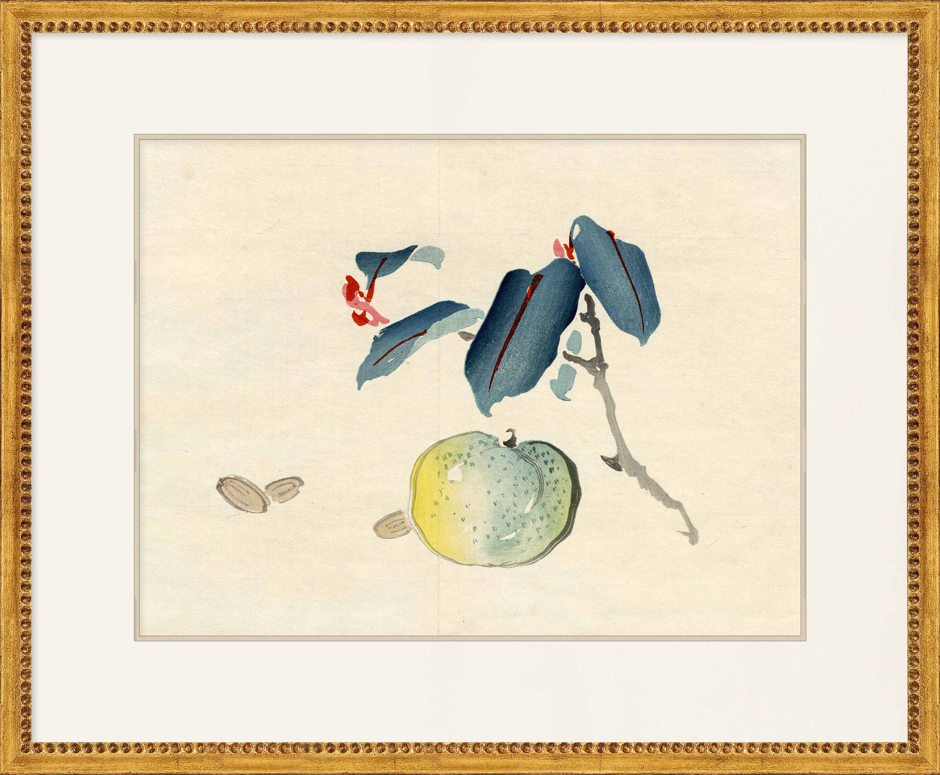 Martha Stewart Perry Street | Modern Still Life: Fruit Study | Framed Contemporary Botanical Art