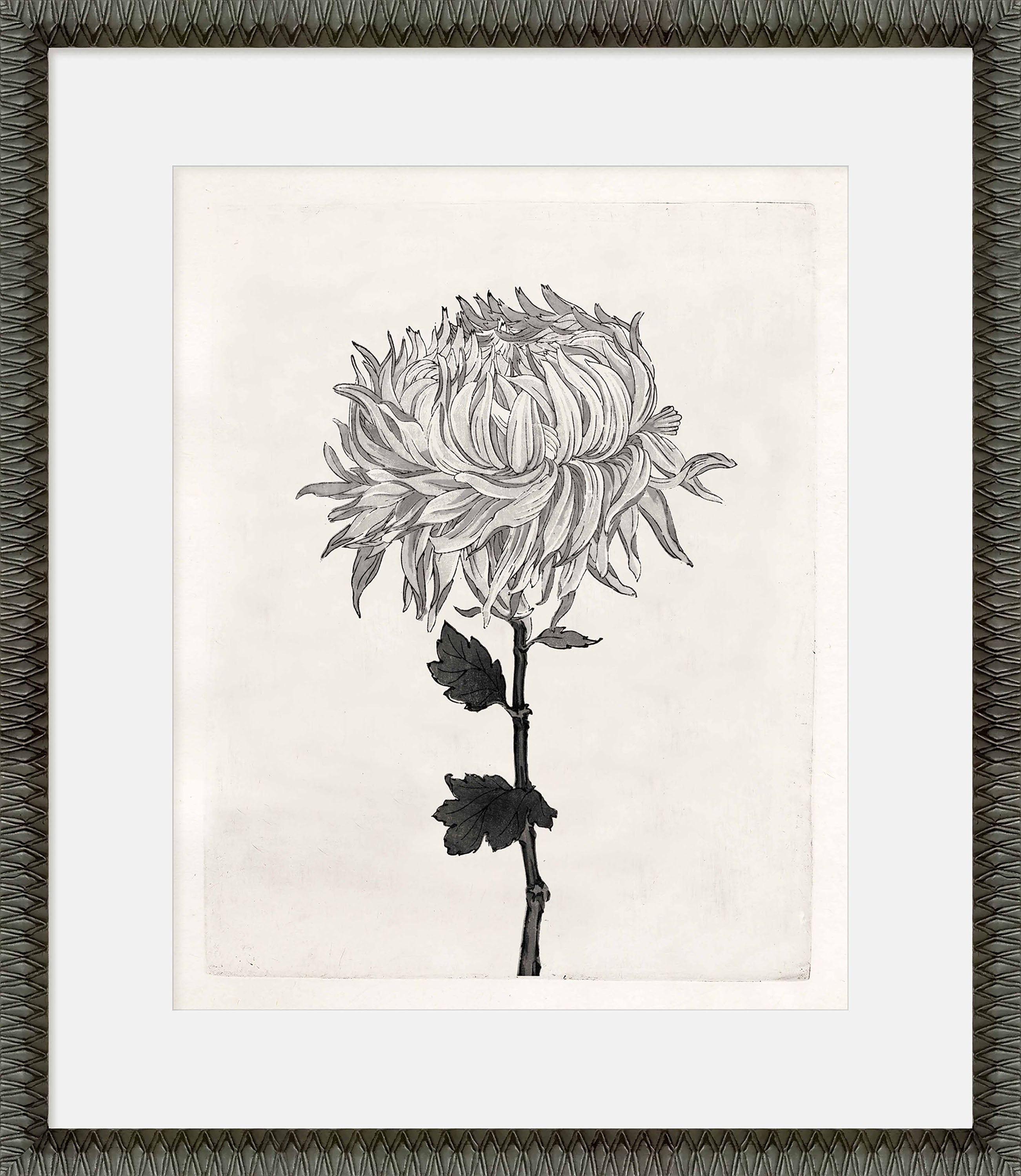 Martha Stewart Perry Street | Modern Floral Study I | Framed Black and White Contemporary Art