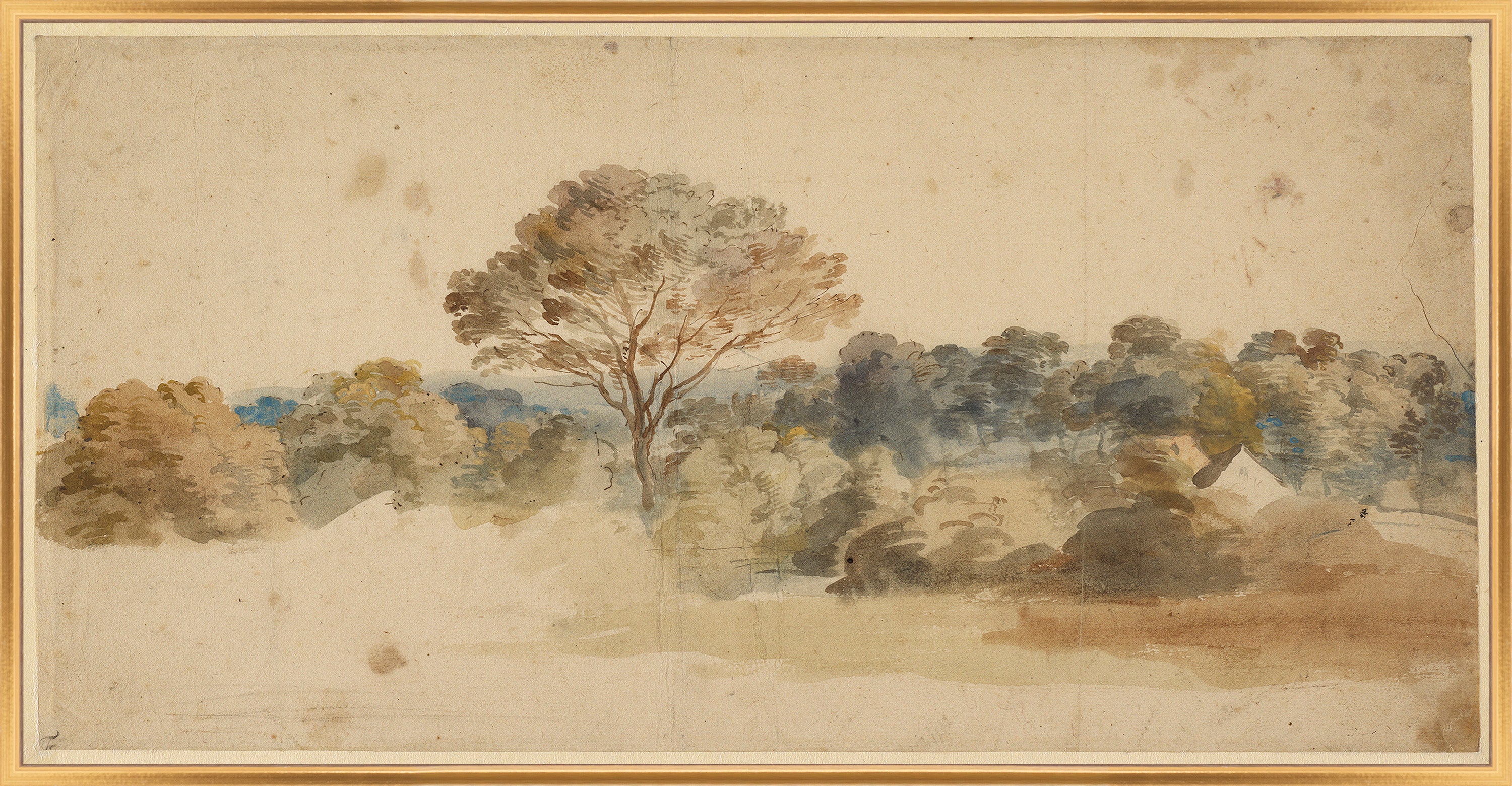 Martha Stewart Bedford | Pastoral Landscape: Tree Line | Framed Country Farmhouse Wall Art