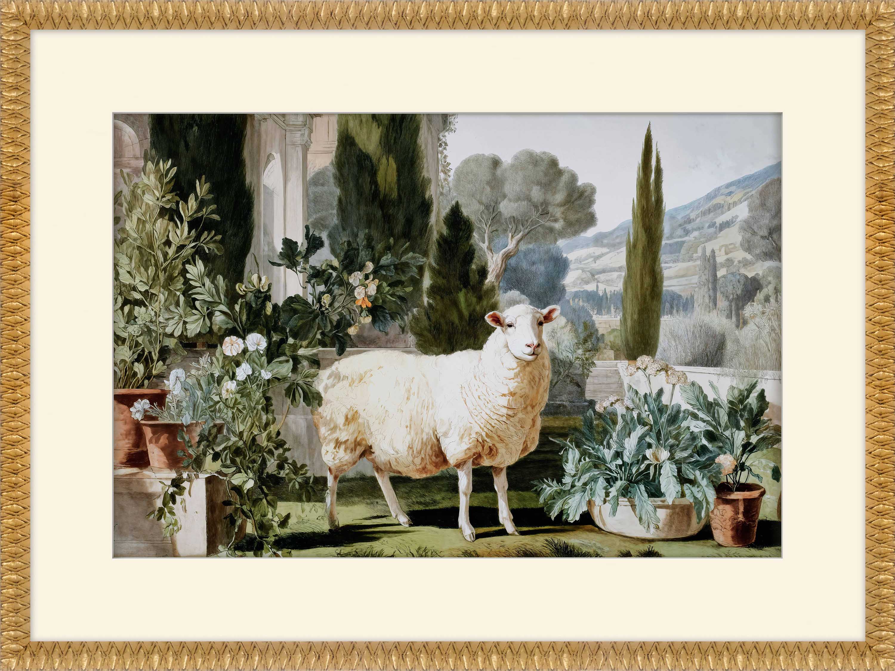 Martha Stewart Bedford | Farm Animal Portrait: Pedigree Sheep | Framed Country Farmhouse Wall Art