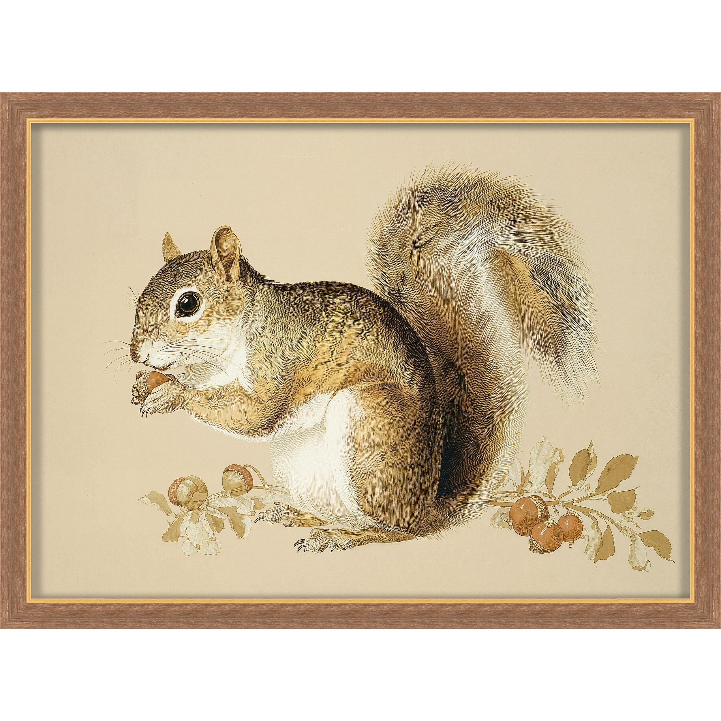 Martha Stewart Bedford | Farm Animal Portrait: Squirrel | Framed Country Farmhouse Wall Art