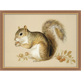 Martha Stewart Bedford | Farm Animal Portrait: Squirrel | Framed Country Farmhouse Wall Art