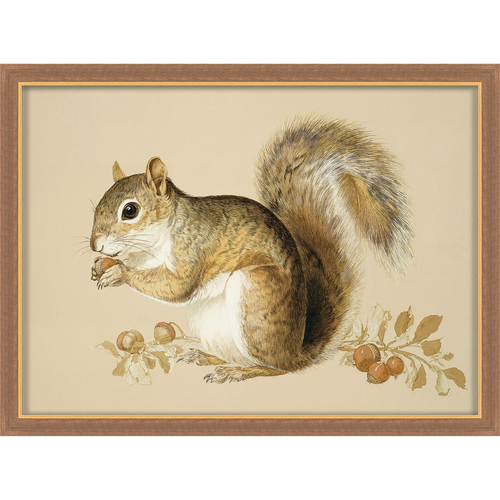 Martha Stewart Bedford | Farm Animal Portrait: Squirrel | Framed Country Farmhouse Wall Art