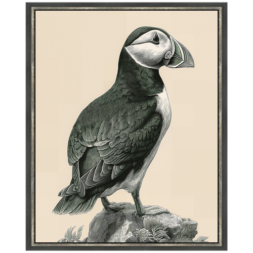 Martha Stewart Lily Pond | Coastal Bird Study: Puffin | Framed Coastal Cottage Wall Art