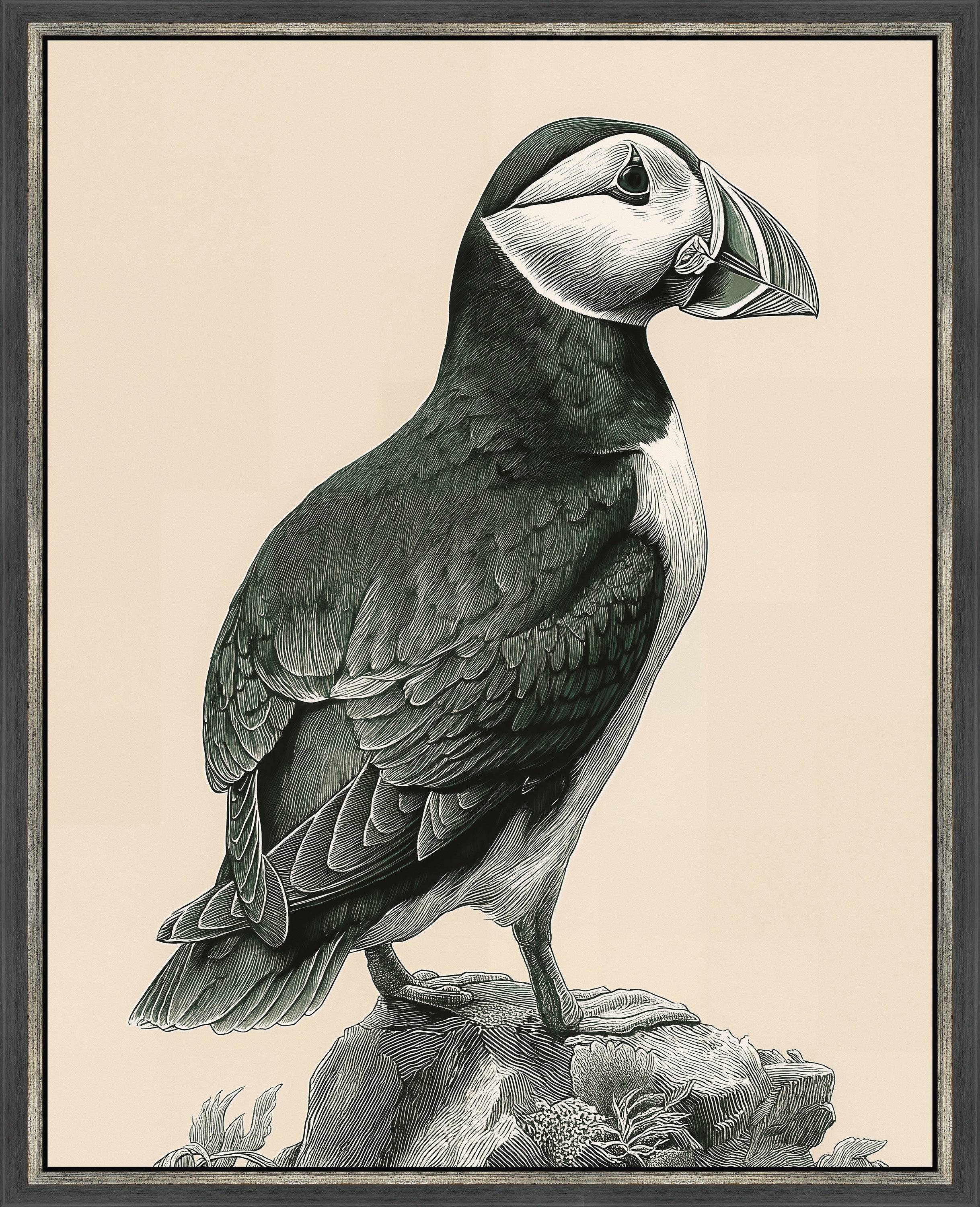 Martha Stewart Lily Pond | Coastal Bird Study: Puffin | Framed Coastal Cottage Wall Art
