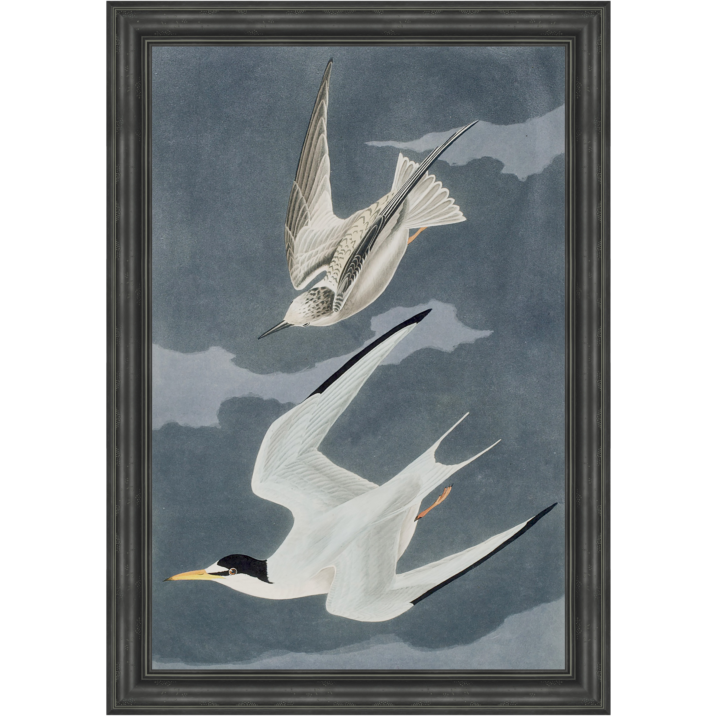 Martha Stewart Lily Pond | Seaside Study: Flying Gulls | Framed Coastal Cottage Wall Art