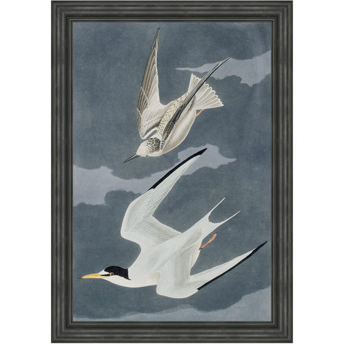 Martha Stewart Lily Pond | Seaside Study: Flying Gulls | Framed Coastal Cottage Wall Art