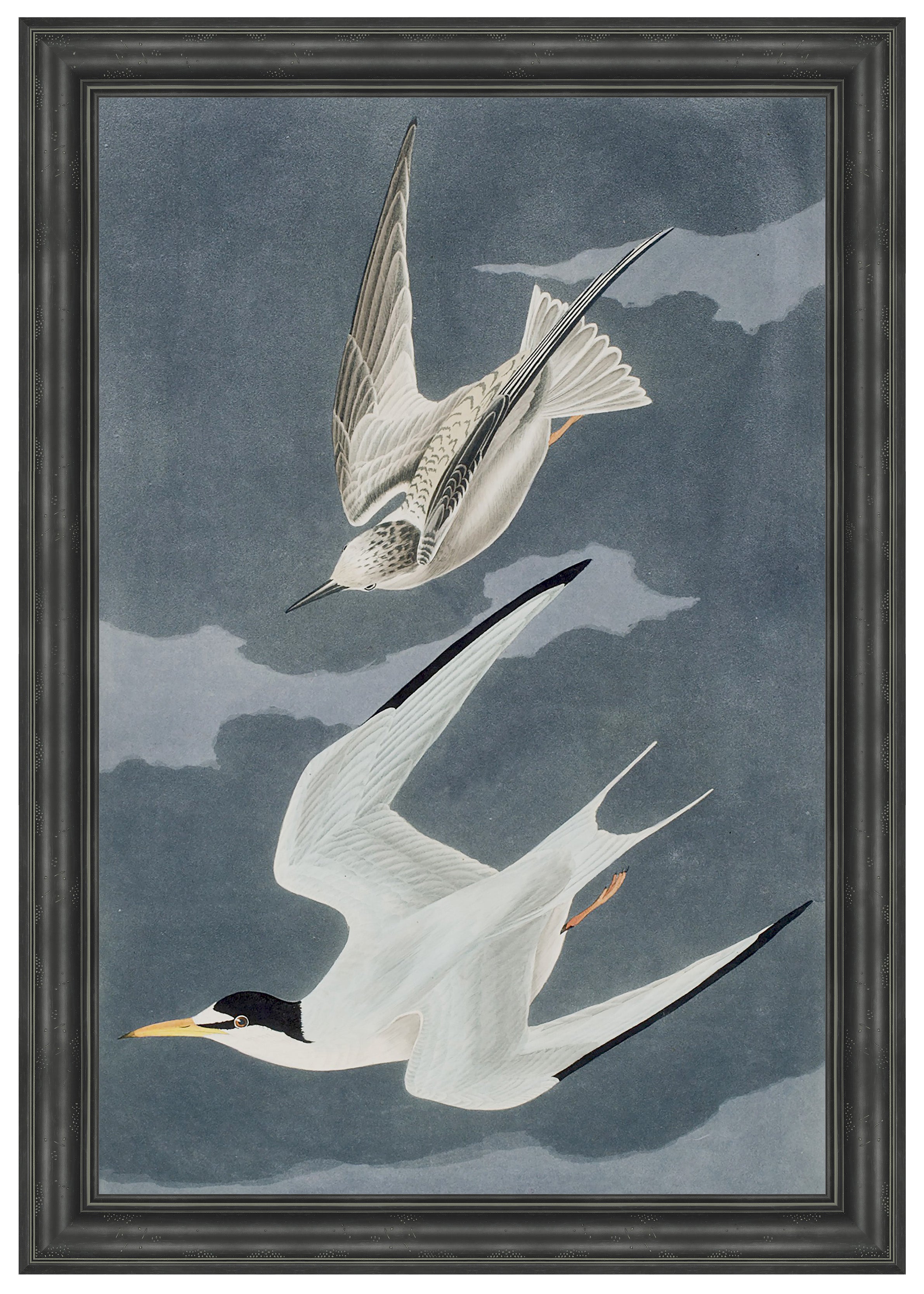 Martha Stewart Lily Pond | Seaside Study: Flying Gulls | Framed Coastal Cottage Wall Art