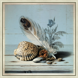 Martha Stewart Lily Pond | Seaside Still Life: Shells and Coral | Framed Coastal Cottage Wall Art