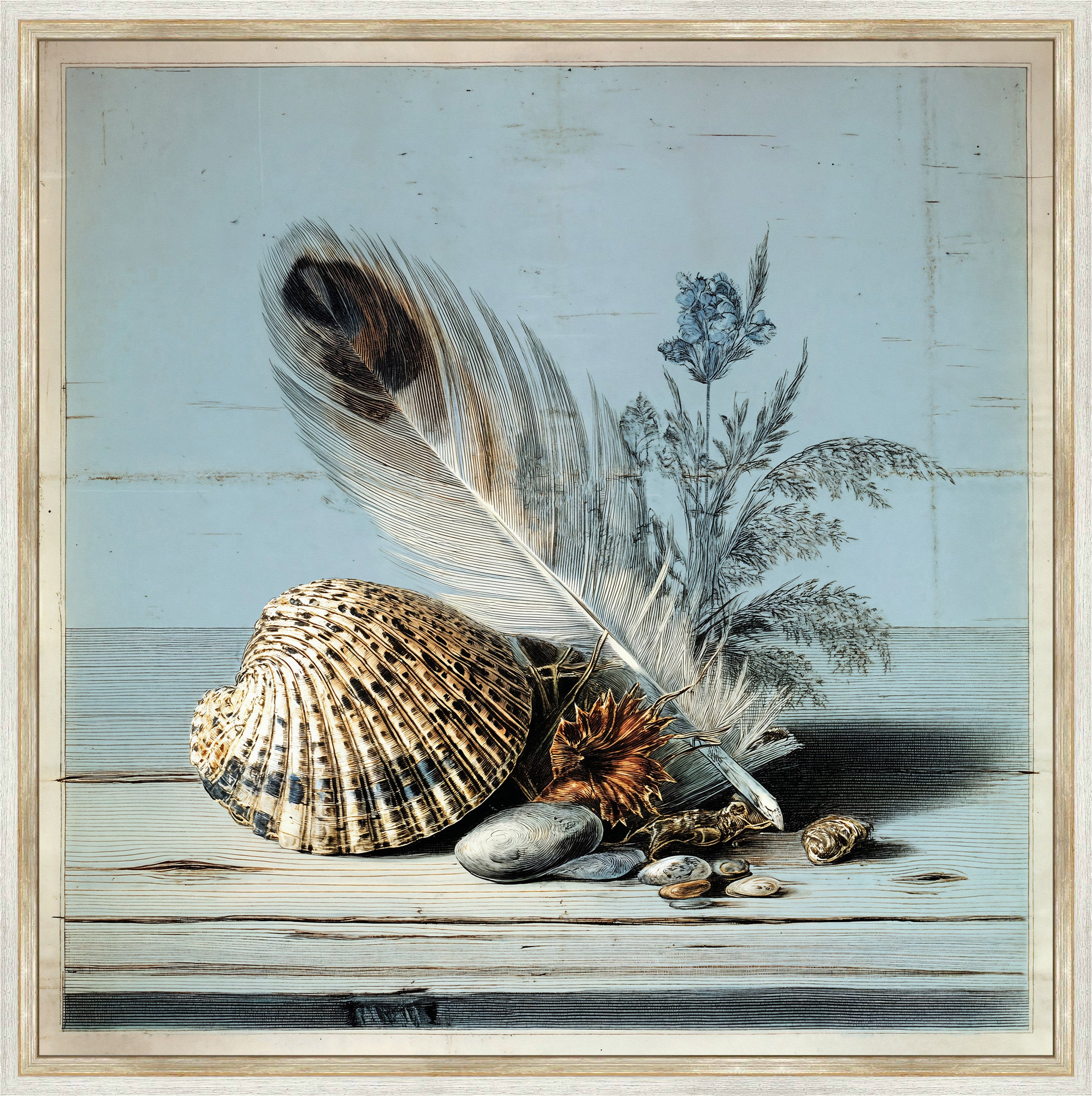 Martha Stewart Lily Pond | Seaside Still Life: Shells and Coral | Framed Coastal Cottage Wall Art