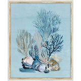 Martha Stewart Lily Pond | Coastal Botanical: Coral Study | Framed Coastal Cottage Wall Art