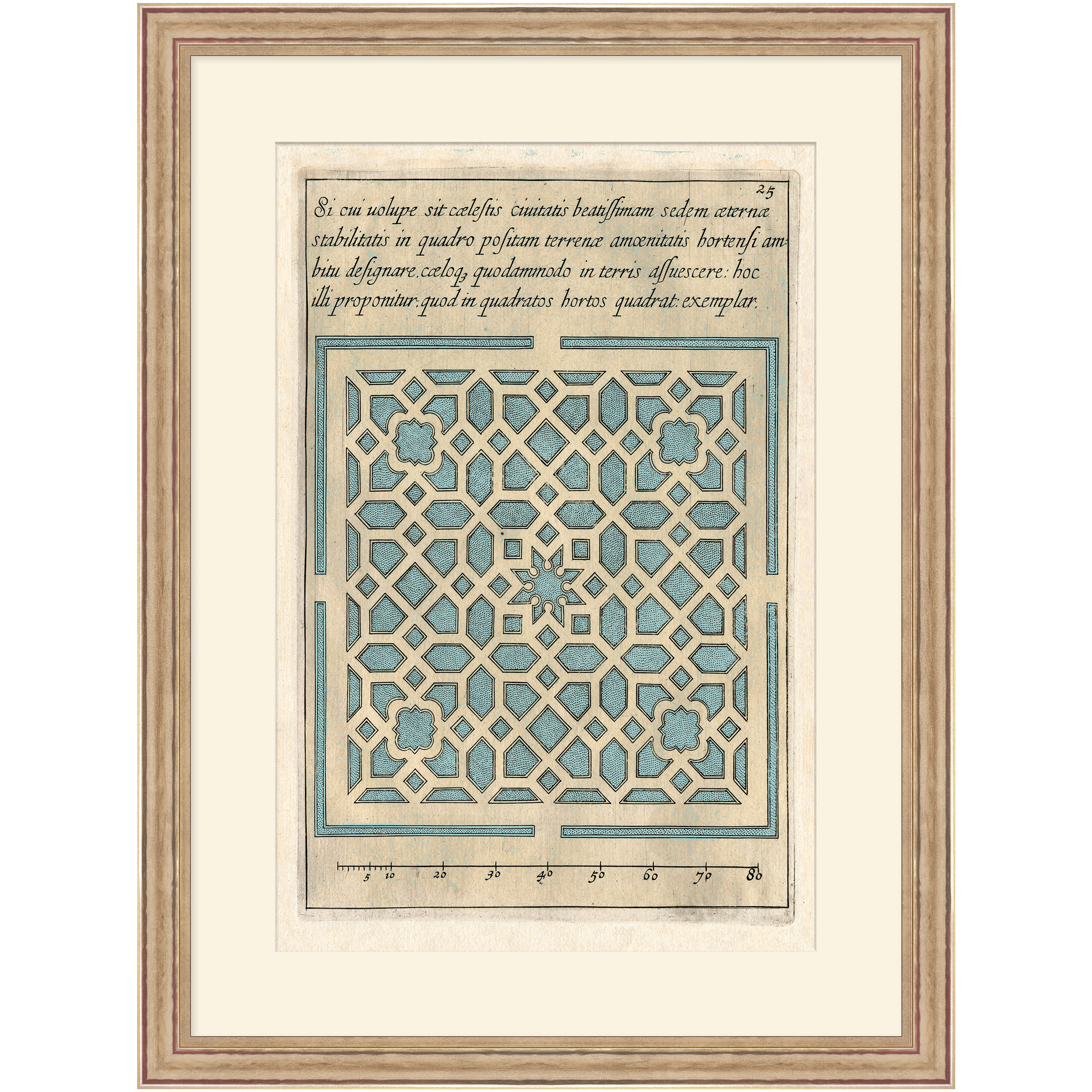 Martha Stewart Lily Pond | Coastal Pattern Study I | Framed Coastal Cottage Wall Art
