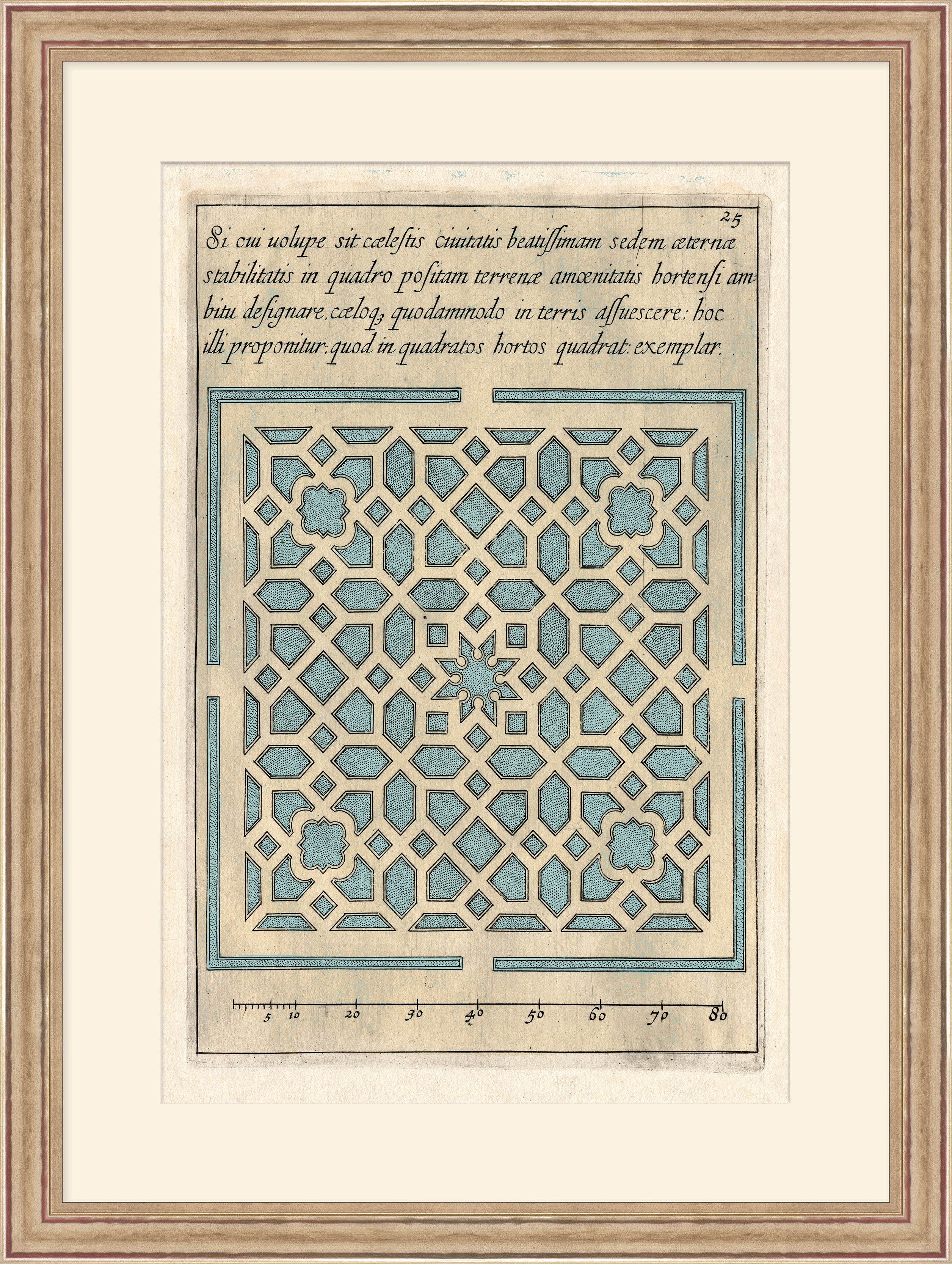 Martha Stewart Lily Pond | Coastal Pattern Study II | Framed Coastal Cottage Wall Art