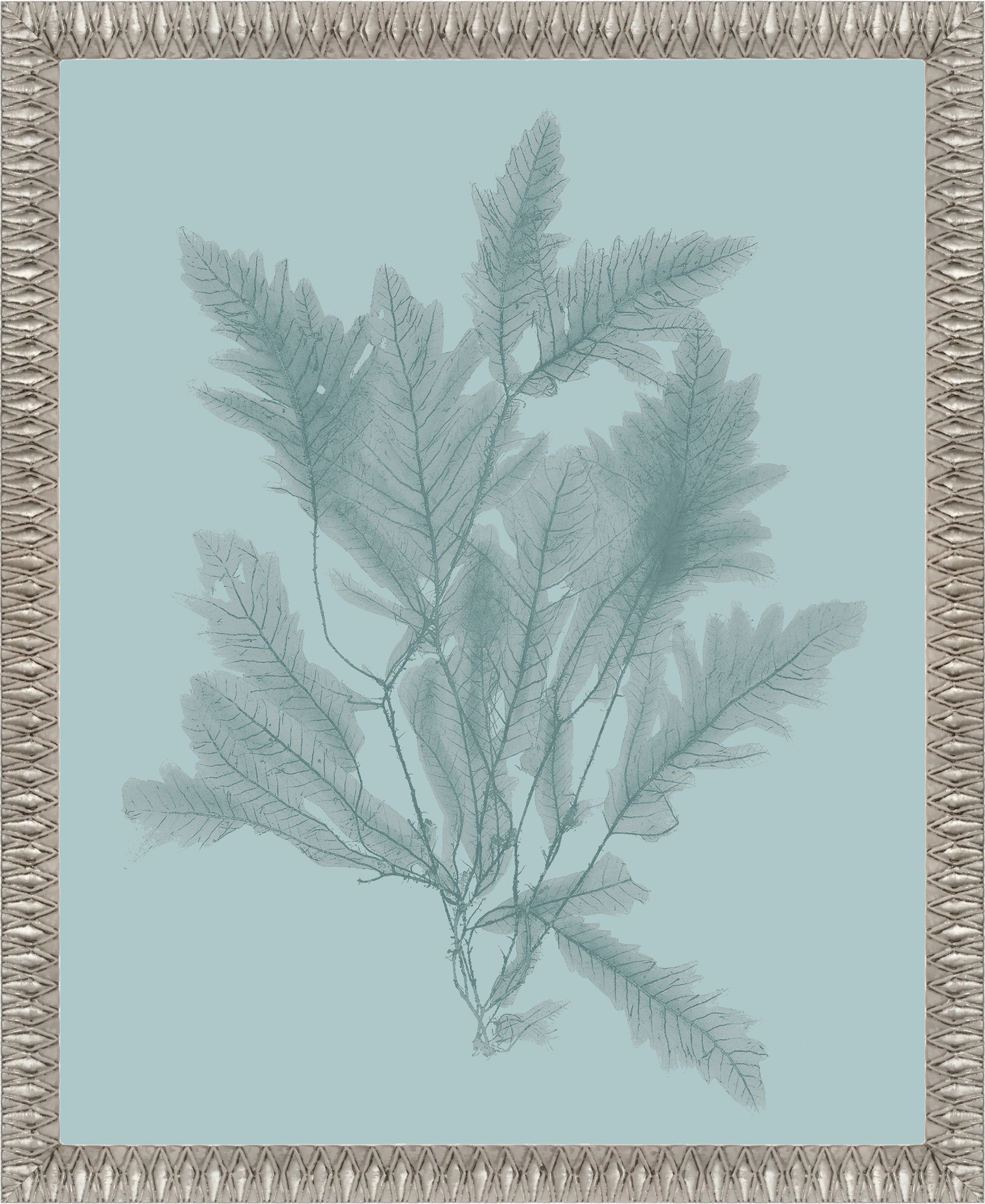 Martha Stewart Lily Pond | Coastal Botanical: Sea Glass I | Framed Coastal Cottage Wall Art