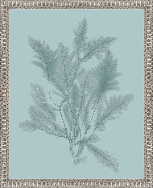 Martha Stewart Lily Pond | Coastal Botanical: Sea Glass I | Framed Coastal Cottage Wall Art